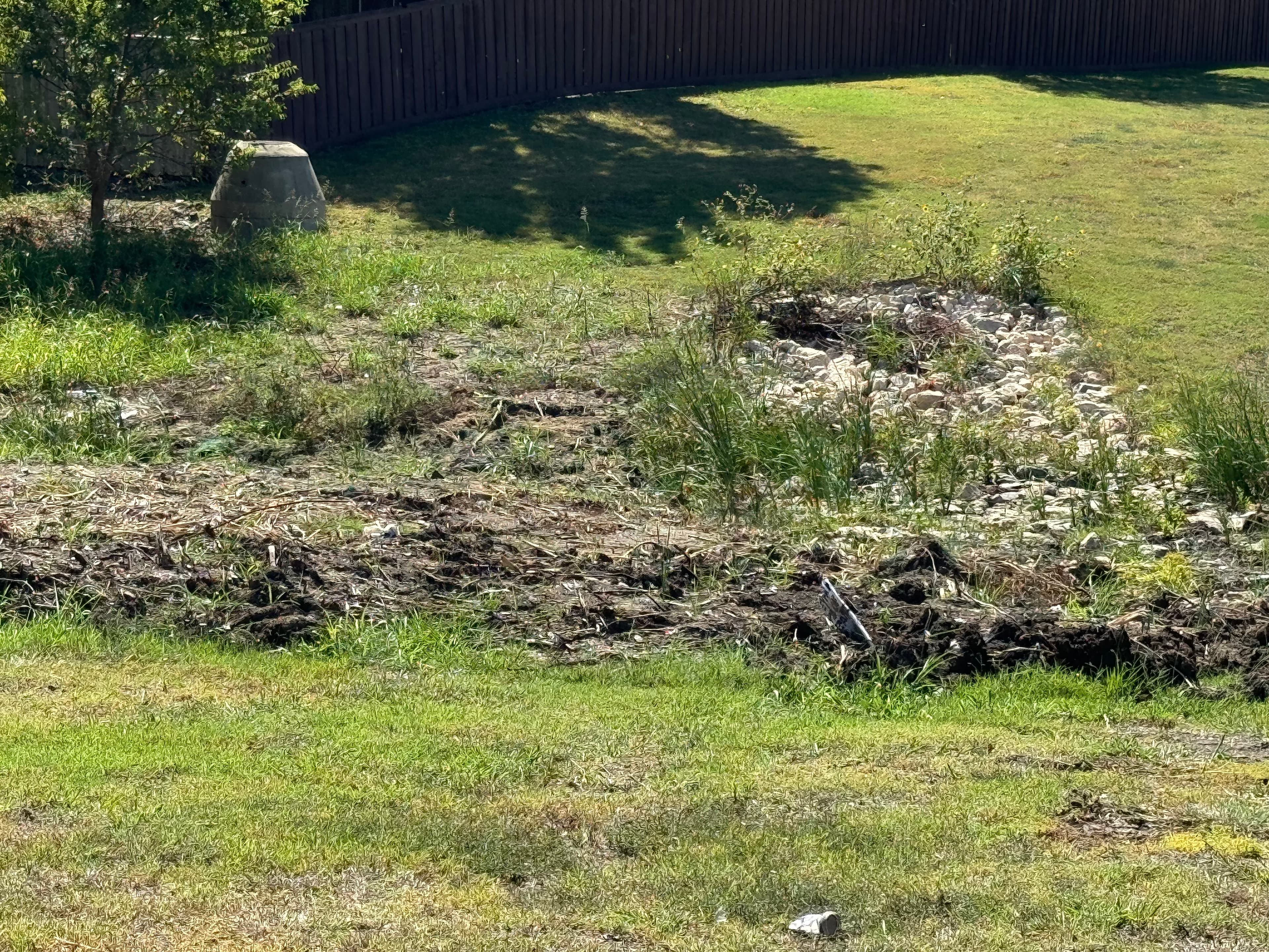 creek clean-up